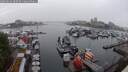 ./images/victoria/wharf/20250626/wharf20250626_200508M.jpg