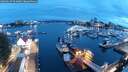 ./images/victoria/wharf/20250627/wharf20250627_044008M.jpg