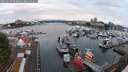 ./images/victoria/wharf/20250627/wharf20250627_052007M.jpg