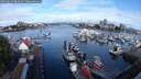 ./images/victoria/wharf/20250627/wharf20250627_083012M.jpg