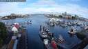 ./images/victoria/wharf/20250627/wharf20250627_083511M.jpg
