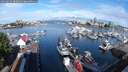 ./images/victoria/wharf/20250627/wharf20250627_084011M.jpg