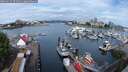 ./images/victoria/wharf/20250627/wharf20250627_092510M.jpg