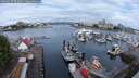 ./images/victoria/wharf/20250627/wharf20250627_093011M.jpg