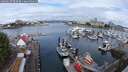 ./images/victoria/wharf/20250627/wharf20250627_093508M.jpg