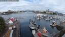 ./images/victoria/wharf/20250627/wharf20250627_094511M.jpg