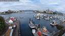 ./images/victoria/wharf/20250627/wharf20250627_095010M.jpg