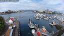 ./images/victoria/wharf/20250627/wharf20250627_095510M.jpg