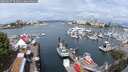./images/victoria/wharf/20250627/wharf20250627_102010M.jpg