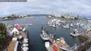 ./images/victoria/wharf/20250627/wharf20250627_102510M.jpg