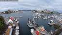 ./images/victoria/wharf/20250627/wharf20250627_103010M.jpg