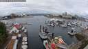 ./images/victoria/wharf/20250627/wharf20250627_105510M.jpg