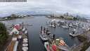 ./images/victoria/wharf/20250627/wharf20250627_110010M.jpg