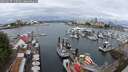 ./images/victoria/wharf/20250627/wharf20250627_110510M.jpg
