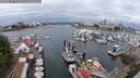 ./images/victoria/wharf/20250627/wharf20250627_111011M.jpg