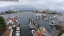./images/victoria/wharf/20250627/wharf20250627_111510M.jpg