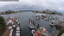 ./images/victoria/wharf/20250627/wharf20250627_112510M.jpg