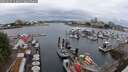 ./images/victoria/wharf/20250627/wharf20250627_113010M.jpg