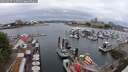 ./images/victoria/wharf/20250627/wharf20250627_113509M.jpg