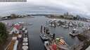 ./images/victoria/wharf/20250627/wharf20250627_114511M.jpg