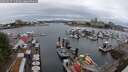 ./images/victoria/wharf/20250627/wharf20250627_115009M.jpg