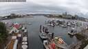 ./images/victoria/wharf/20250627/wharf20250627_115510M.jpg