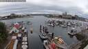 ./images/victoria/wharf/20250627/wharf20250627_120510M.jpg