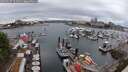 ./images/victoria/wharf/20250627/wharf20250627_121511M.jpg