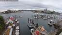 ./images/victoria/wharf/20250627/wharf20250627_122010M.jpg