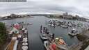 ./images/victoria/wharf/20250627/wharf20250627_122510M.jpg