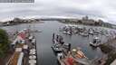 ./images/victoria/wharf/20250627/wharf20250627_123011M.jpg