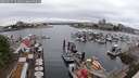 ./images/victoria/wharf/20250627/wharf20250627_124011M.jpg