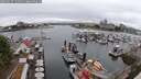 ./images/victoria/wharf/20250627/wharf20250627_124511M.jpg