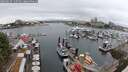 ./images/victoria/wharf/20250627/wharf20250627_125510M.jpg