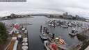 ./images/victoria/wharf/20250627/wharf20250627_130510M.jpg