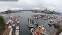 ./images/victoria/wharf/20250627/wharf20250627_131511M.jpg