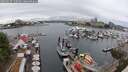 ./images/victoria/wharf/20250627/wharf20250627_132510M.jpg