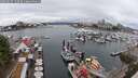 ./images/victoria/wharf/20250627/wharf20250627_133509M.jpg