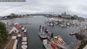 ./images/victoria/wharf/20250627/wharf20250627_134011M.jpg