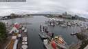 ./images/victoria/wharf/20250627/wharf20250627_134511M.jpg