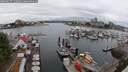 ./images/victoria/wharf/20250627/wharf20250627_135011M.jpg