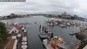 ./images/victoria/wharf/20250627/wharf20250627_135510M.jpg