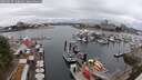 ./images/victoria/wharf/20250627/wharf20250627_140011M.jpg
