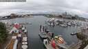 ./images/victoria/wharf/20250627/wharf20250627_140510M.jpg