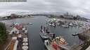 ./images/victoria/wharf/20250627/wharf20250627_141011M.jpg