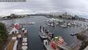 ./images/victoria/wharf/20250627/wharf20250627_142509M.jpg