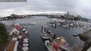 ./images/victoria/wharf/20250627/wharf20250627_143512M.jpg
