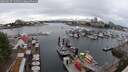 ./images/victoria/wharf/20250627/wharf20250627_144010M.jpg