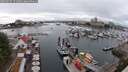 ./images/victoria/wharf/20250627/wharf20250627_151008M.jpg