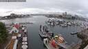 ./images/victoria/wharf/20250627/wharf20250627_151511M.jpg
